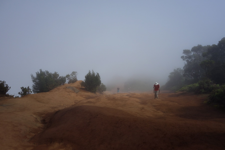 David climbs back up to the end of Pihea Trail.