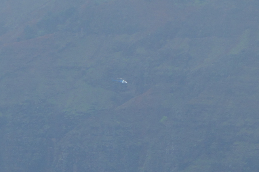 Helicopter tour in the canyon