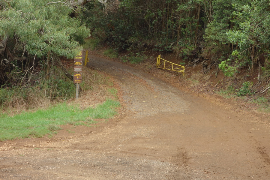 Top of Miloli'i Ridge Road