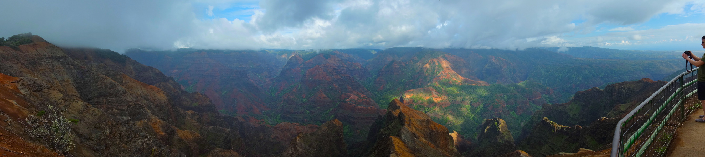 Waimea Canyon from Waimea Canyon Lookout (3360ft) (1)