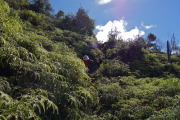 David works his way down a steep, slightly muddy section.