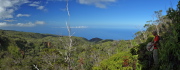 David hiked no further on Honopu Ridge.