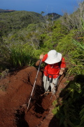 David manages to climb back up the steep section without help.