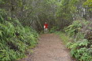This part of the trail was easy walking.