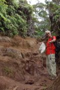 The trail goes up the mud wall.