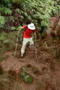 David works his way down the muddy, slick section, taking care to avoid slippery roots.