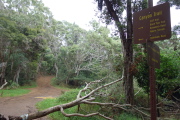 At the junction with Halemanu Road