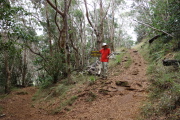 We take the trail to the Cliff View Point.