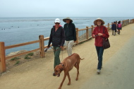Walking along the newly-refurbished East Cliff Drive.