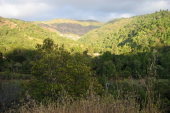 Sierra Azul Open Space near Lexington Reservoir
