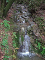 Previous