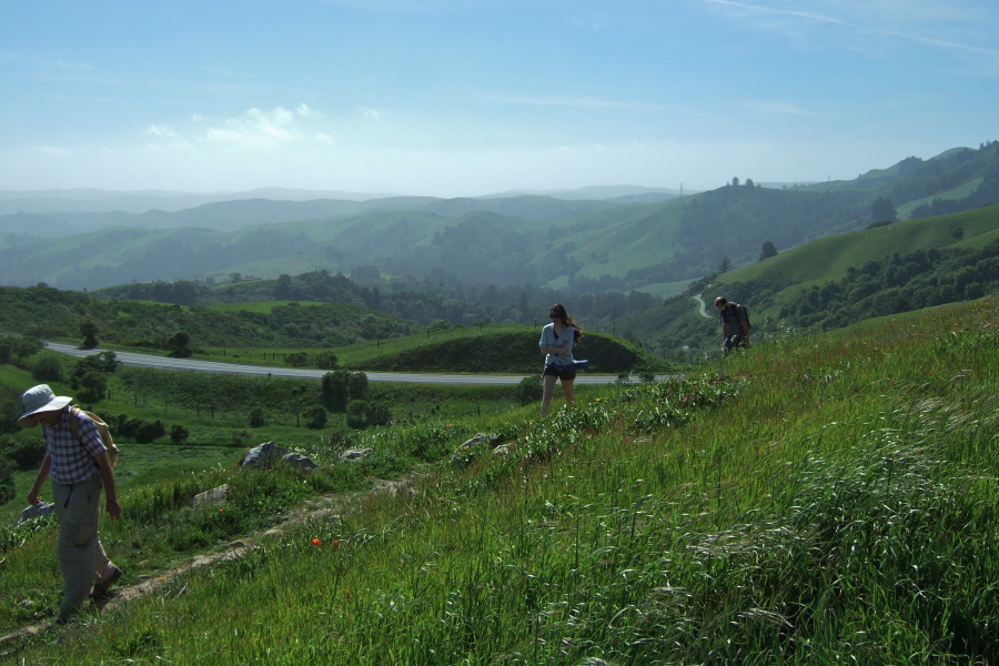 David, Pauline, and Bogdan climb the south peak of Windy Hill.