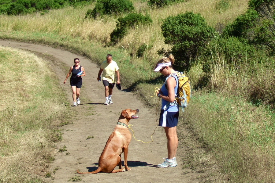 Kumba waits for a treat.