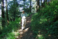 Walking through a pine forest on the Lost Trail