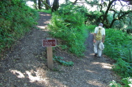 Junction of Lost Trail and Hamms Gulch Trail.
