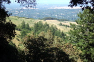 View through the trees toward the Spring Ridge Trail