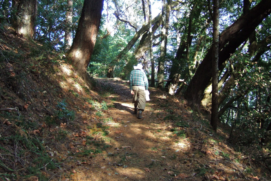 David on the upper part of the Alambique Trail (2)