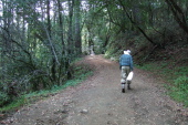 David heads up the Alambique Trail.