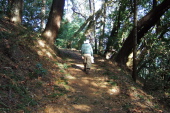 David on the upper part of the Alambique Trail (2)