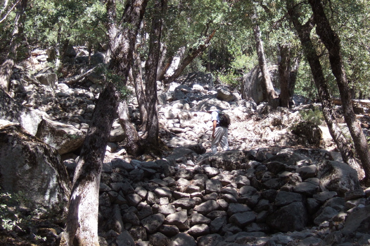 David climbing the endless switchbacks on the lower part of the trail.
