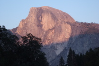Previous