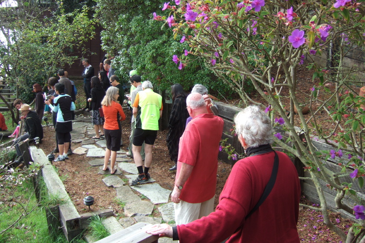 Guests assemble for the outdoor ceremony.