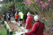 Guests assemble for the outdoor ceremony.