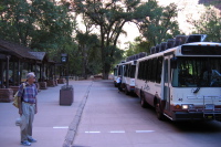Waiting at the shuttle stop.