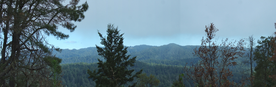 Ben Lomond Mountain from Johansen Road - 7/2012