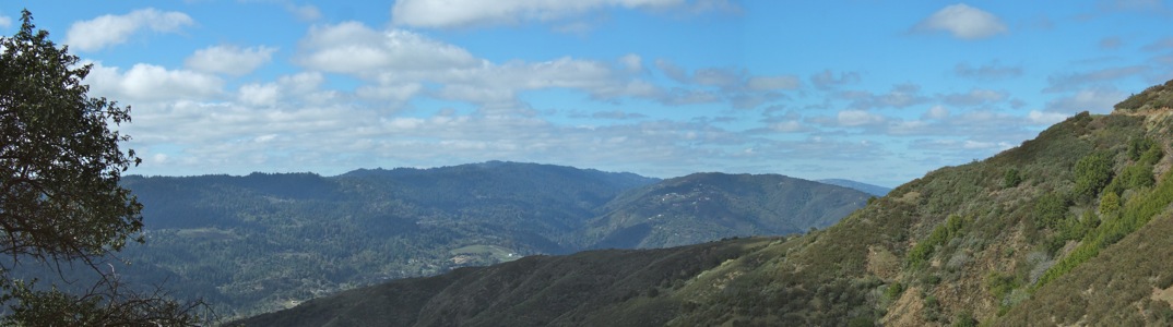 Castle Rock Ridge from Weaver Road - 2/2011
