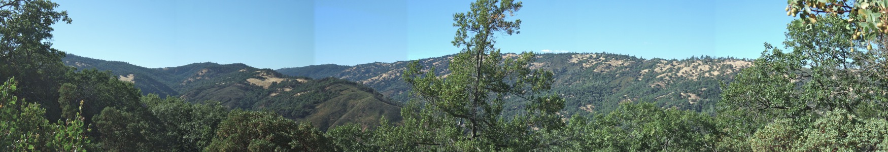 Henry Coe State Park Western Zone - 6/2012