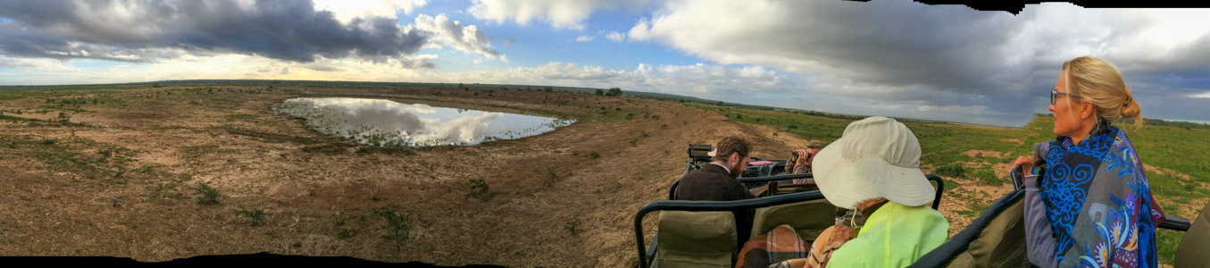 Lions at Phinda 3 - 6/2016