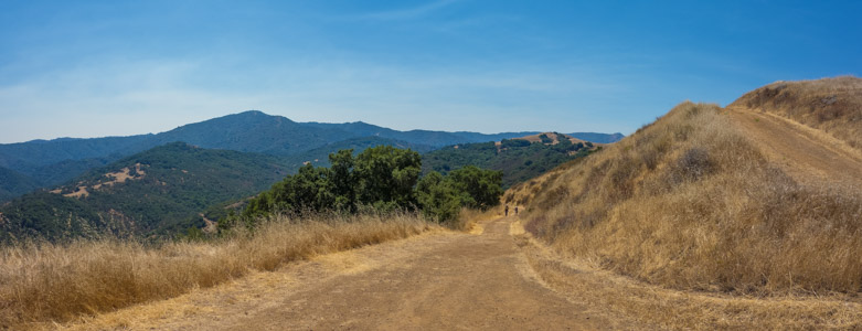 Needlegrass Trail Panorama - 8/2016