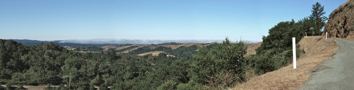 Old La Honda Rd west - 7/2009