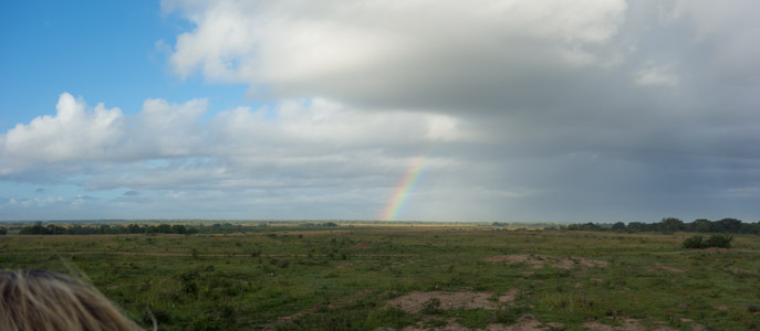 Rainbow over Phinda - 6/2016