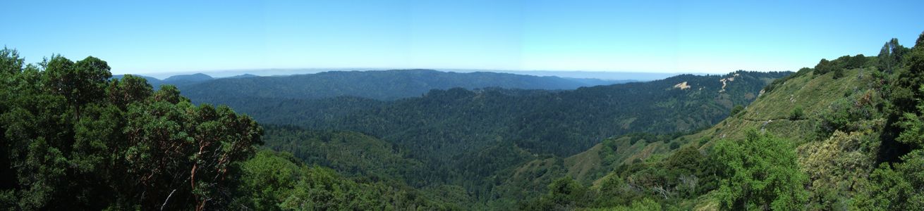 Upper San Lorenzo River Watershed - 7/2011
