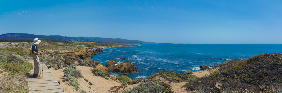 View south from Franklin Point - 8/2015